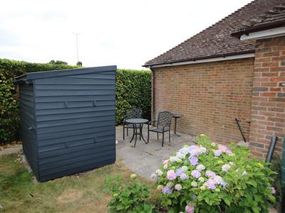 Picture 8